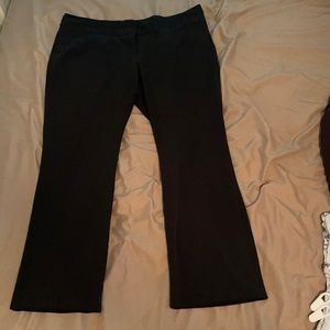 Dress pants
